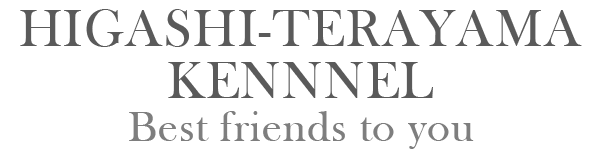 HIGASHI-TERAYAMA-KENNNEL